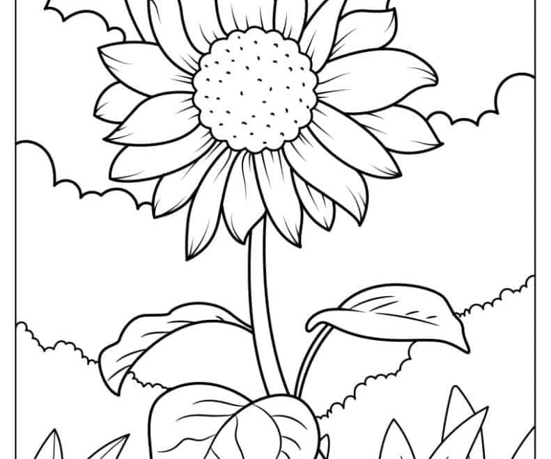 20 Daisy Coloring Pages Free PDF Printables