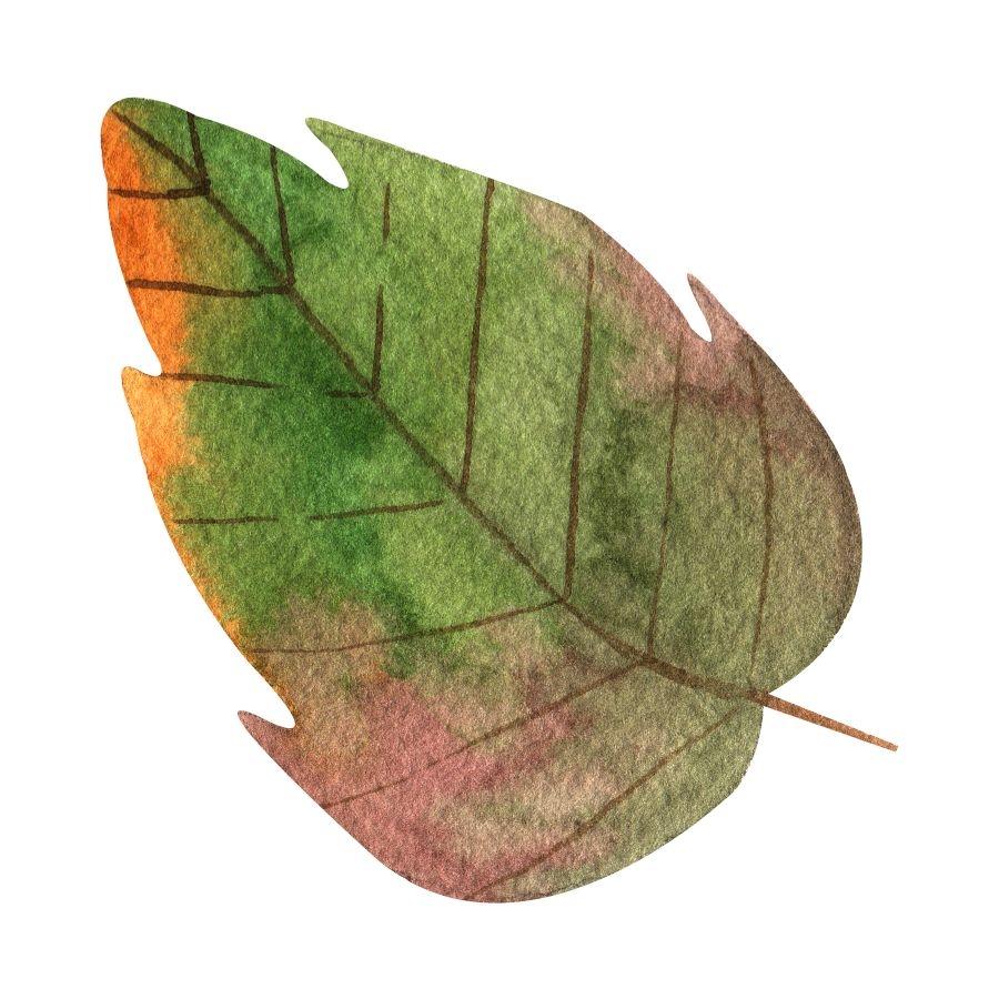 25 Fall Leaf Clip Art Print Or Download At FreeQuilt