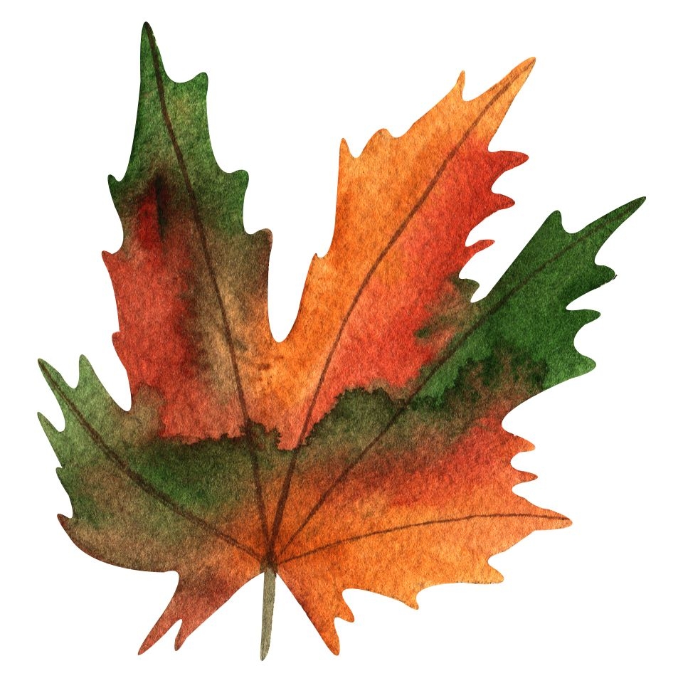 25 Fall Leaf Clip Art Print Or Download At FreeQuilt