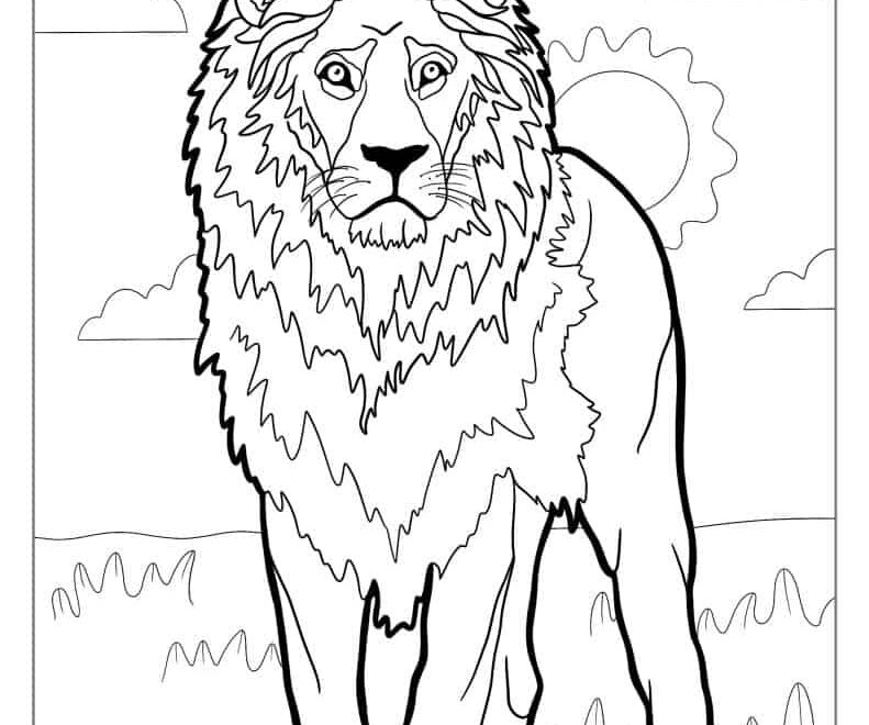 28 Lion Coloring Pages Free PDF Printables