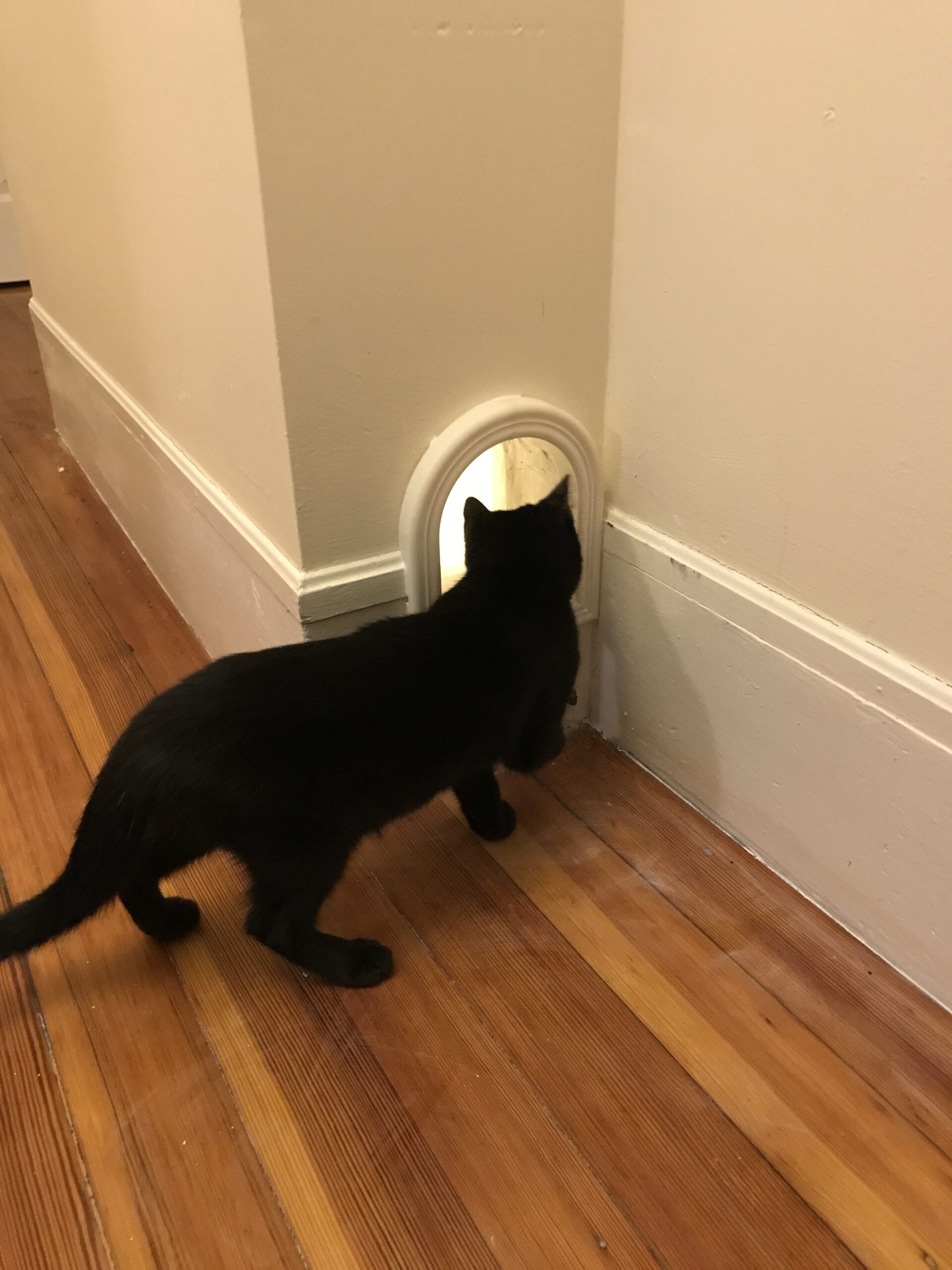 3D Printed Cat Door By Natanj Pinshape