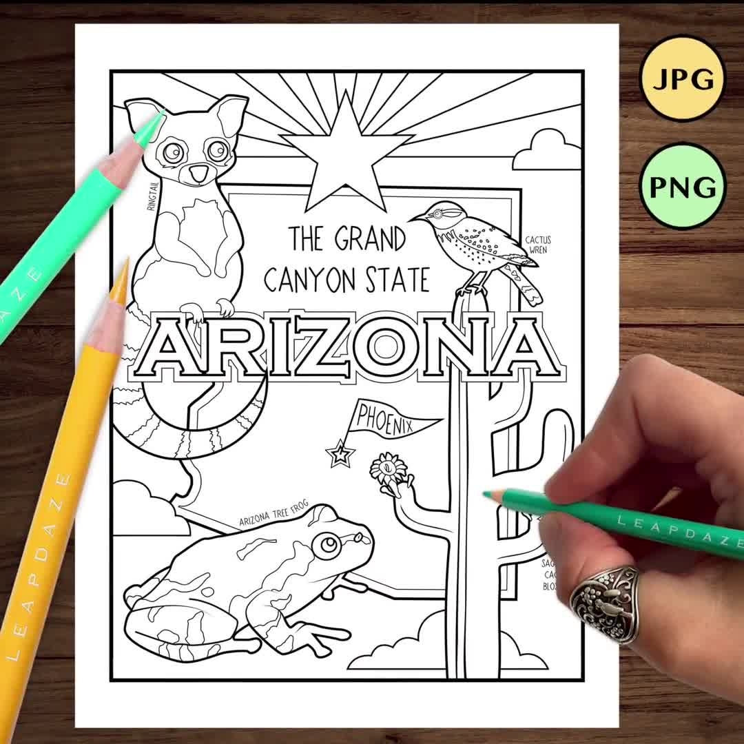 ARIZONA Coloring Page With State Facts Printable United States Of America Outline State Map Etsy