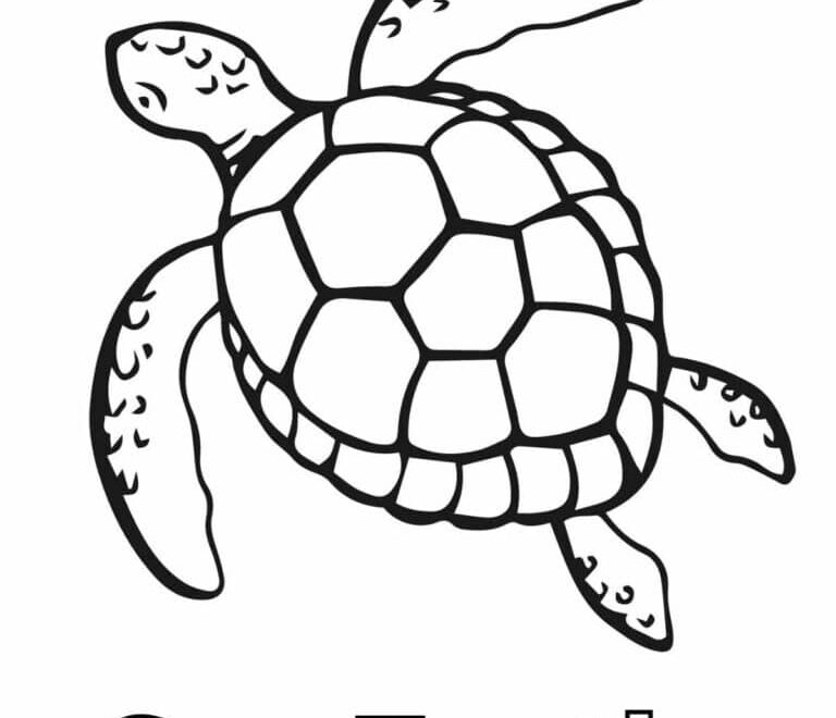 Beautiful Sea Turtle Coloring Pages Nature Inspired Learning