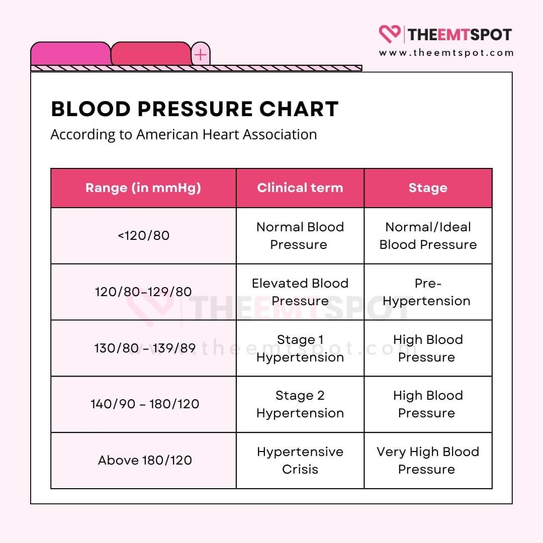 Blood Pressure Chart What Your Reading Mean Low Normal Elevated Or High TheEMTSpot
