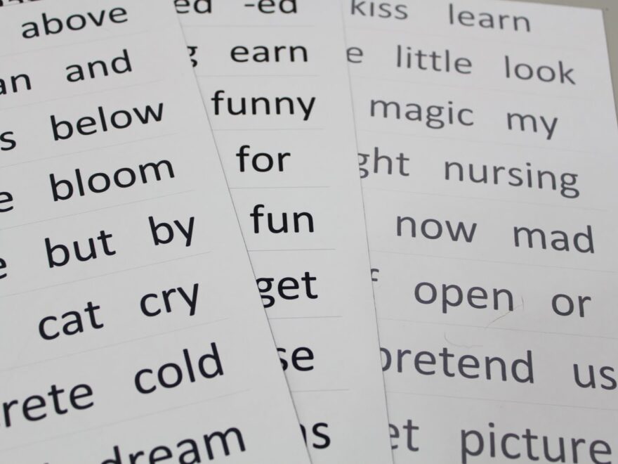 Butterfly Jungle Magnetic Words For Your Magnetic Personality