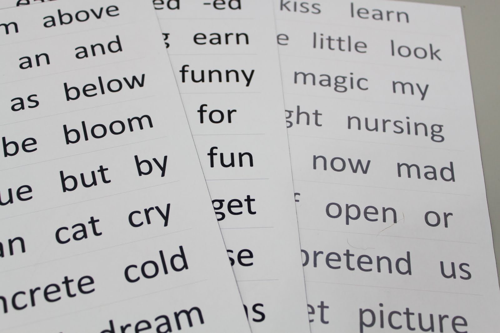 Butterfly Jungle Magnetic Words For Your Magnetic Personality