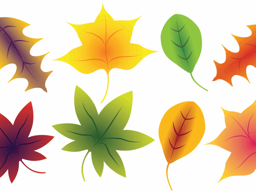 Fall Leaves Clip Art A Free Clip Art Bundle That s Too Good To Miss