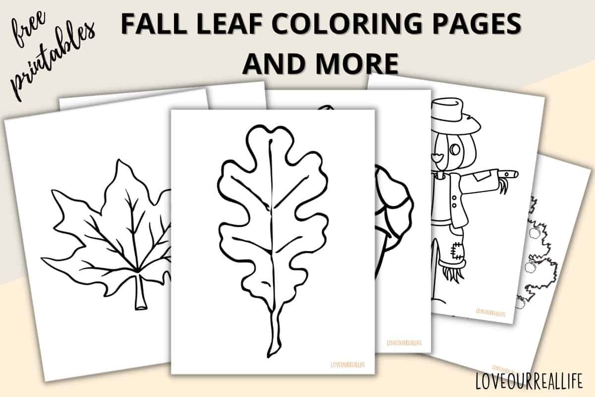 Free Printable Fall Leaves Coloring Pages