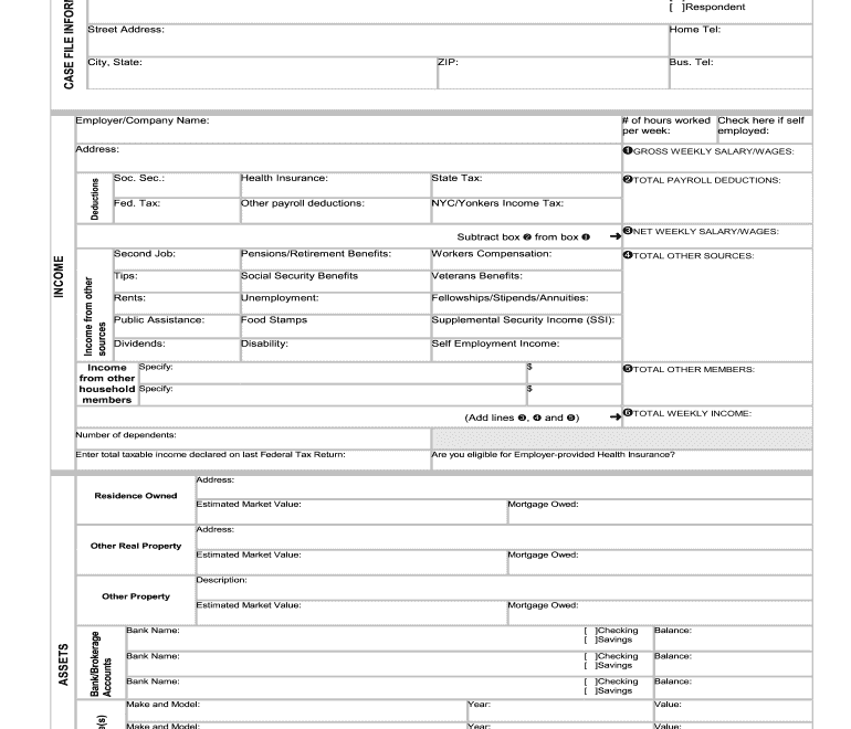 Family Court Disclosure Affidavit Fill Online Printable Fillable Blank PdfFiller