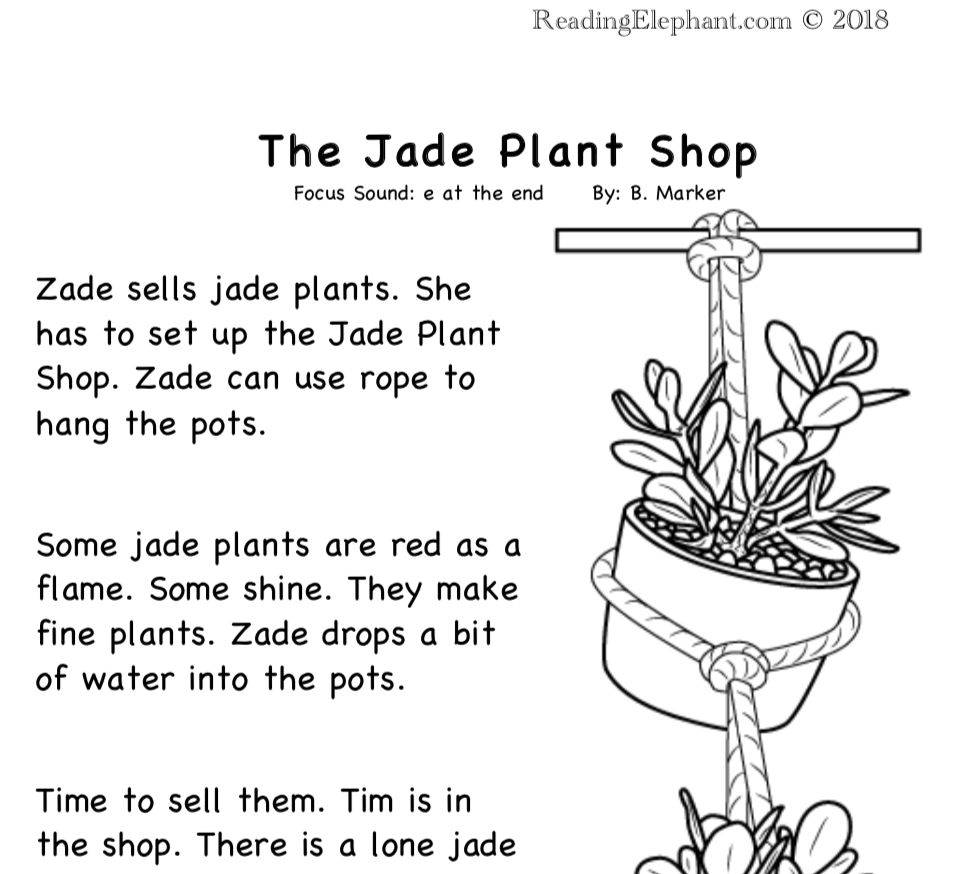 FREE Fluency Reading Passages 1st Grade Reading Elephant
