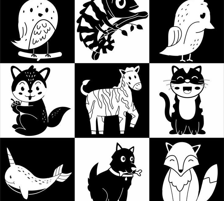 High Contrast Flashcards Animals Printable Black And White Cards Baby Sensory Cards