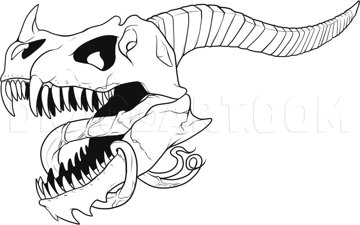 How To Draw A Dragon Skull Coloring Page Trace Drawing