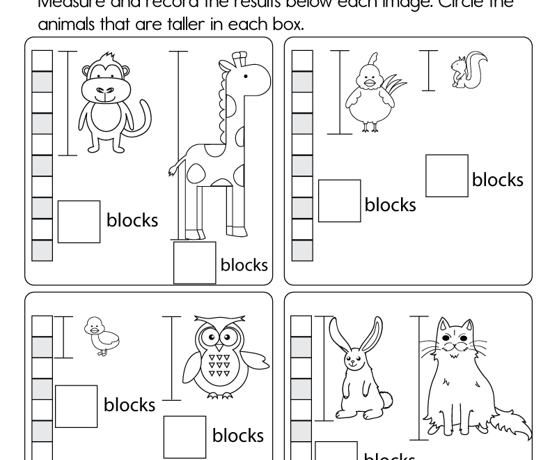 Measuring Height Worksheet Free Printable Digital PDF