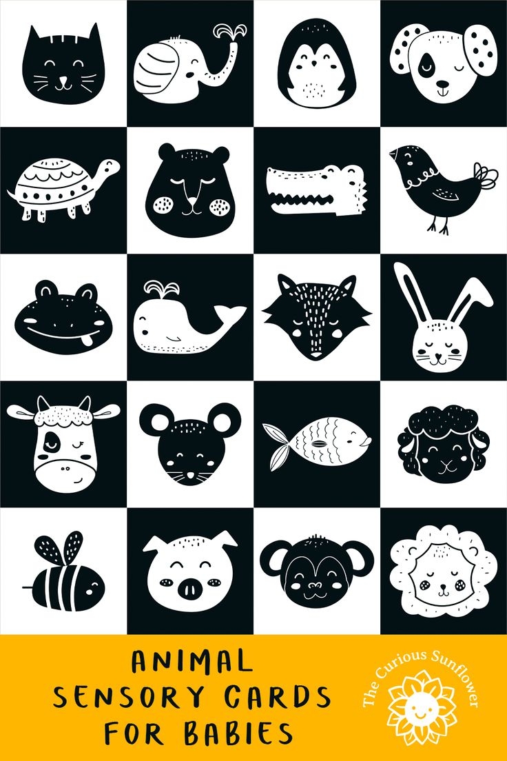 Monochrome Animals High Contrast Black And White Stimulation Cards For Babies