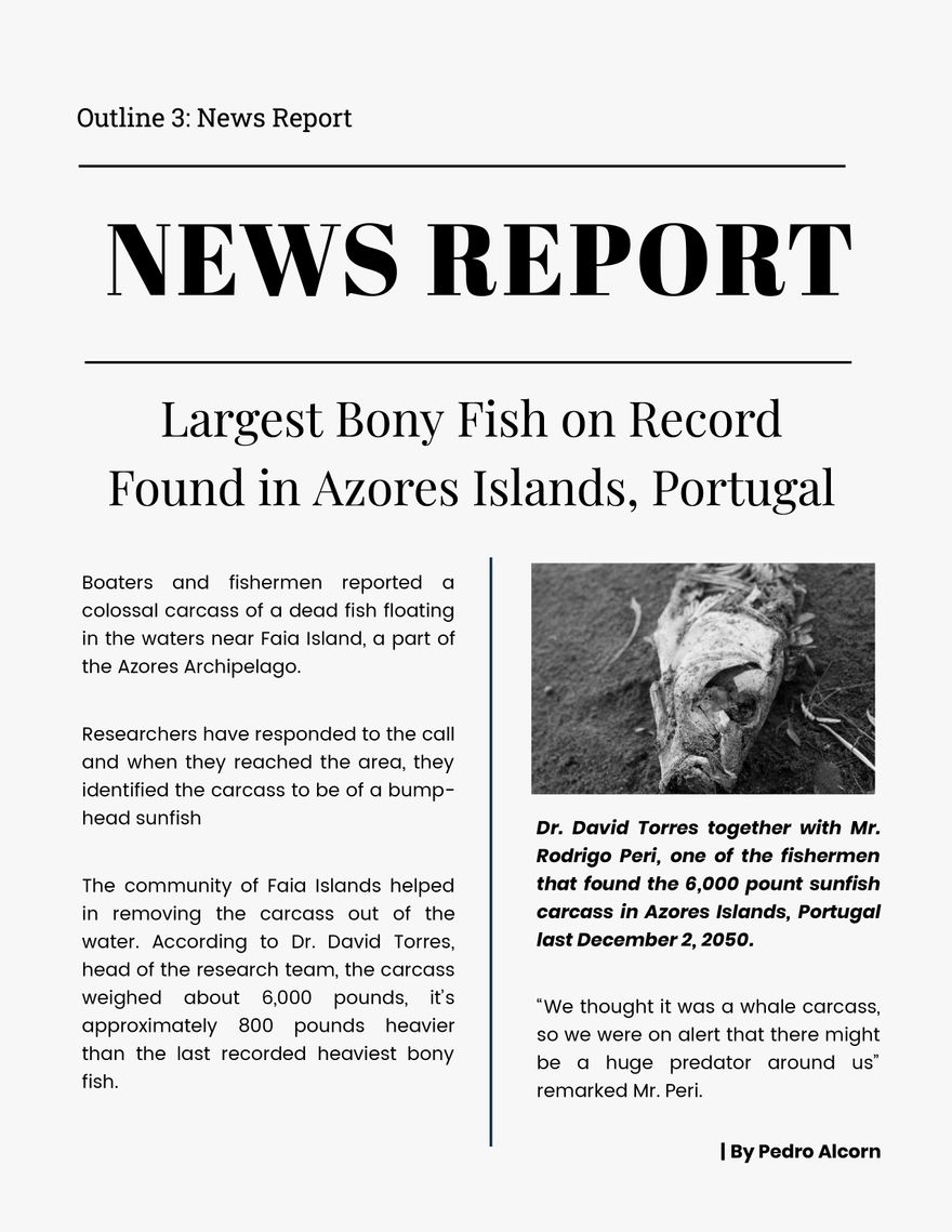 News Report For Students In Word Download Template