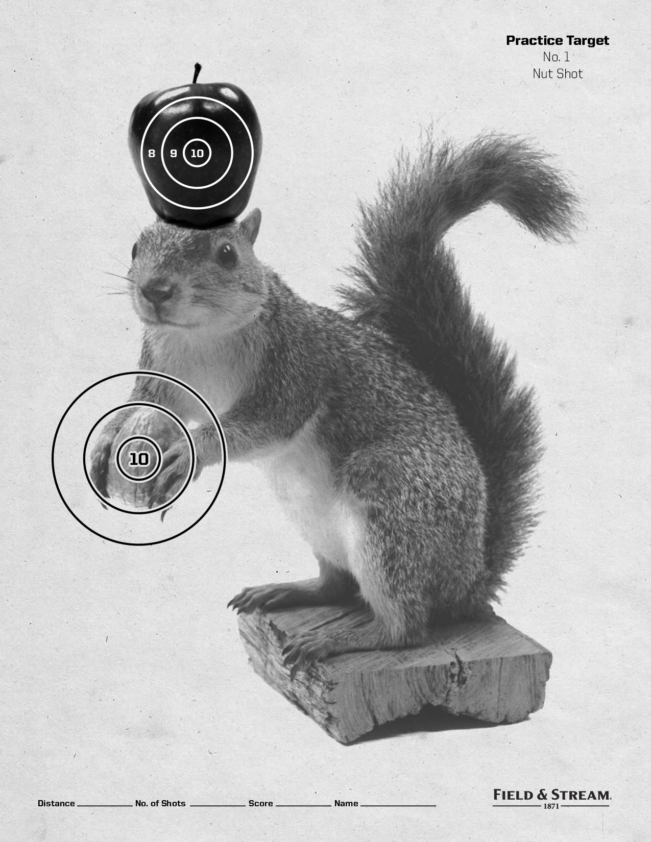 Free Printable Shooting Targets Funny