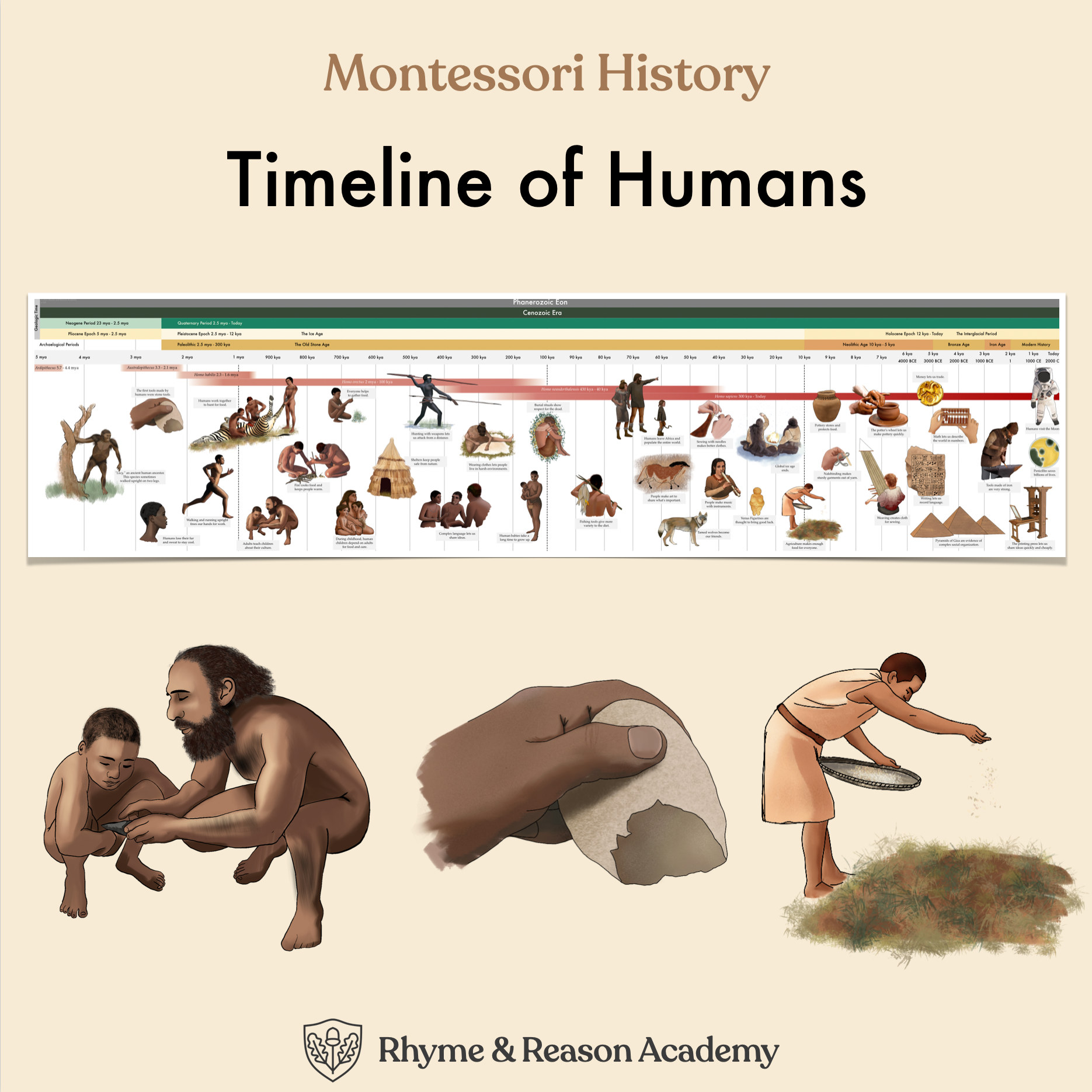 Printable Timeline Of Humans Montessori Third Great Lesson Rhyme And Reason Academy