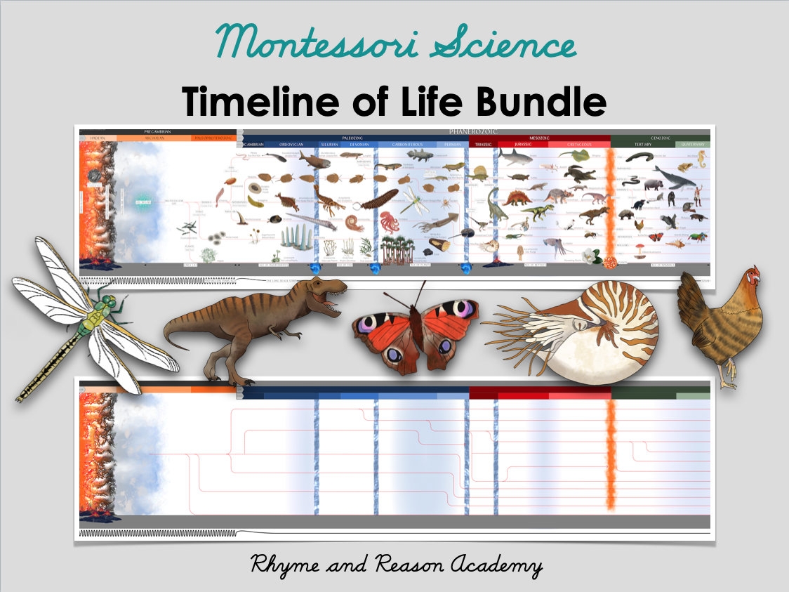 Printable Timeline Of Life Bundle Montessori Second Great Lesson The Coming Of Life Elementary Science Instant Download PDF Etsy
