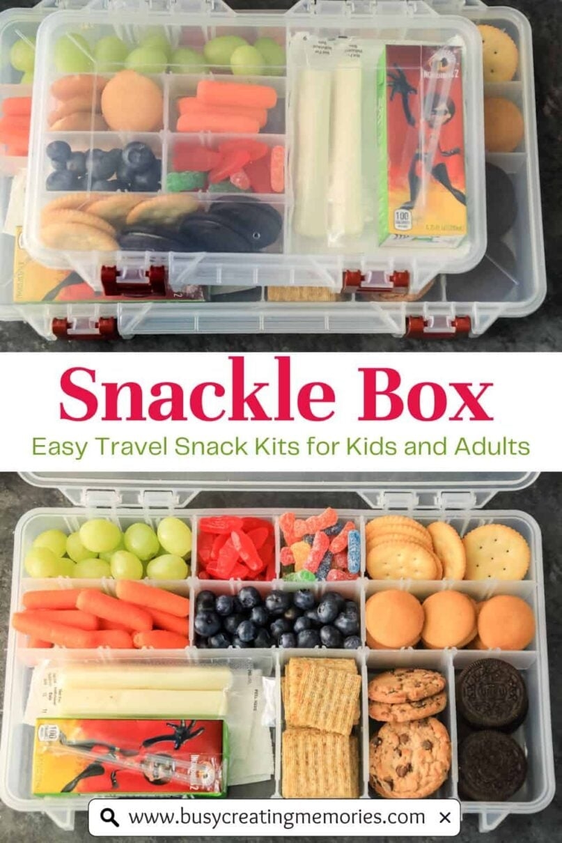 Snackle Box Ideas The Best Travel Snack Box For Kids Adults