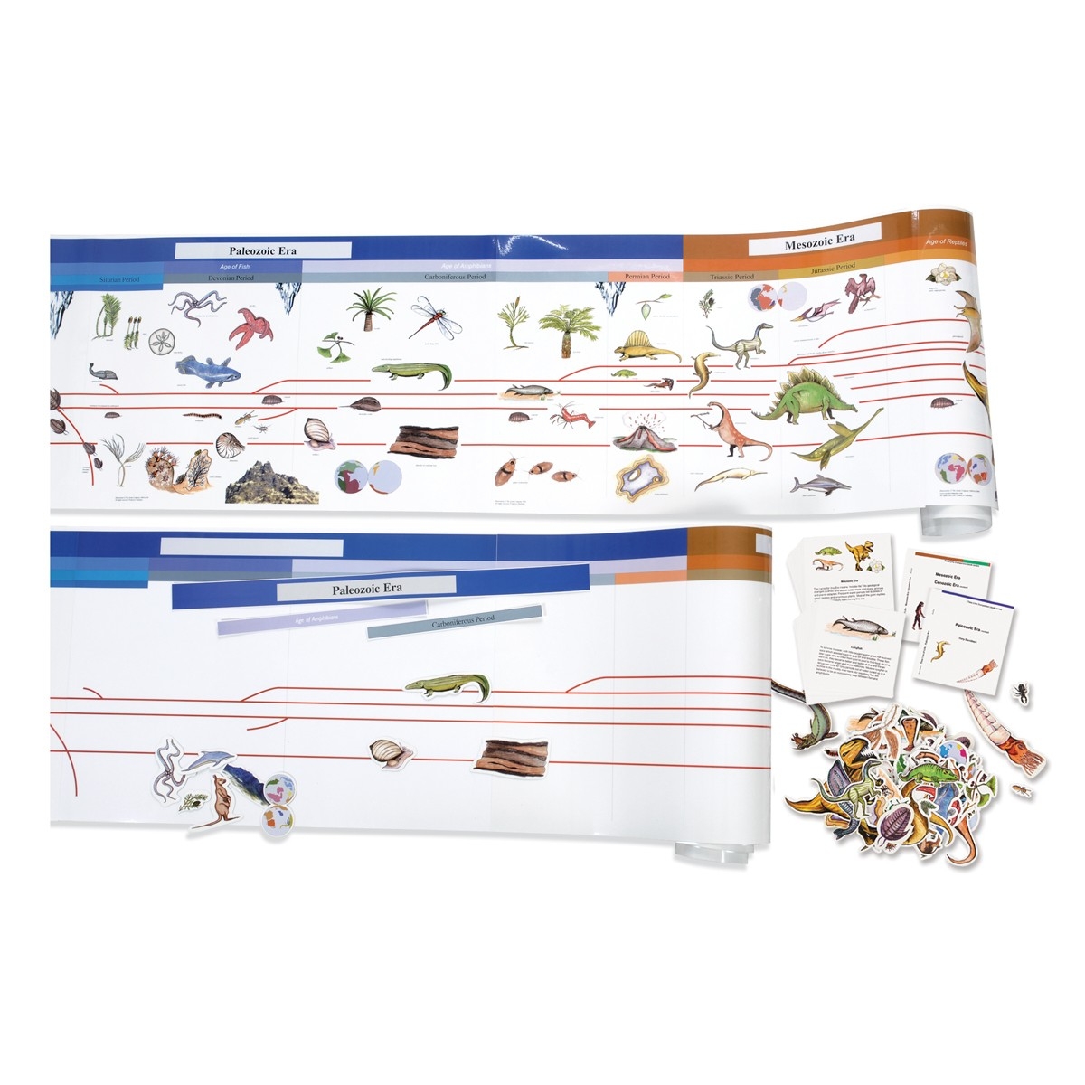 Montessori Timeline Of Life Printable