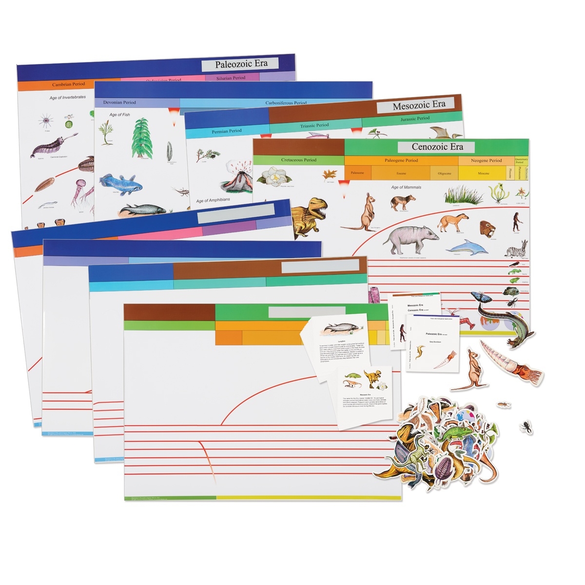 The Timeline Of Life Panel Style Montessori Services
