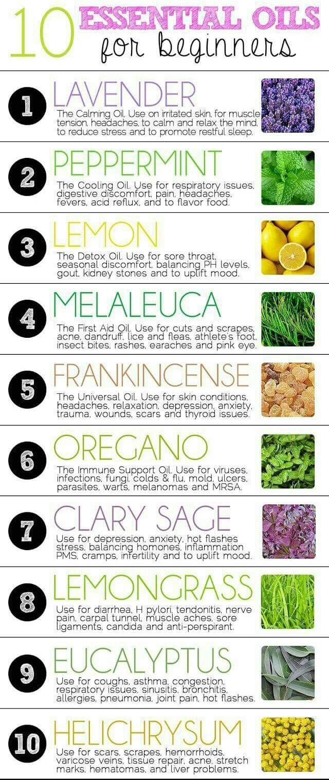 Top 10 Essential Oils For Beginners