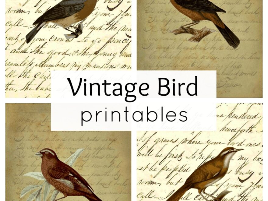 Vintage Bird Printables For Fall Town Country Living