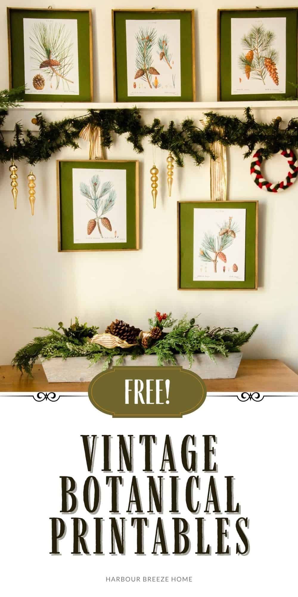Vintage Botanical Prints Pine Cone Winter Wall Art Harbour Breeze Home