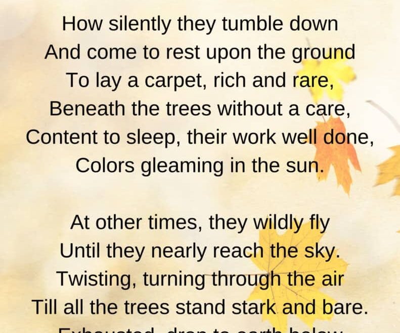 14 Autumn Poems For Kids To Put You In The Mood For Fall