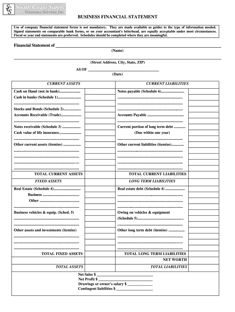Business Financial Statement Template Pdf Fill Online Printable Fillable Blank PdfFiller