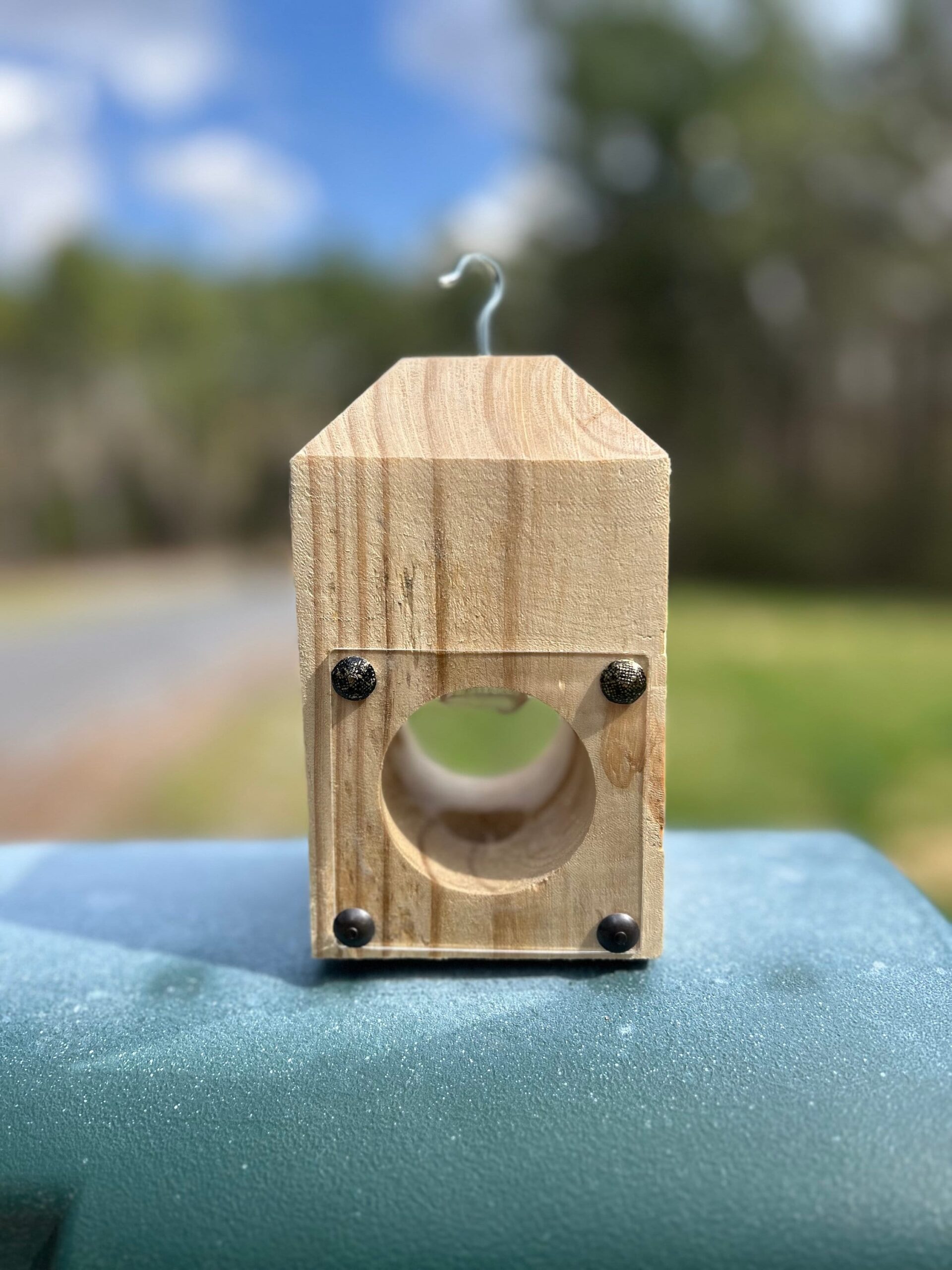 Carpenter Bees Etsy