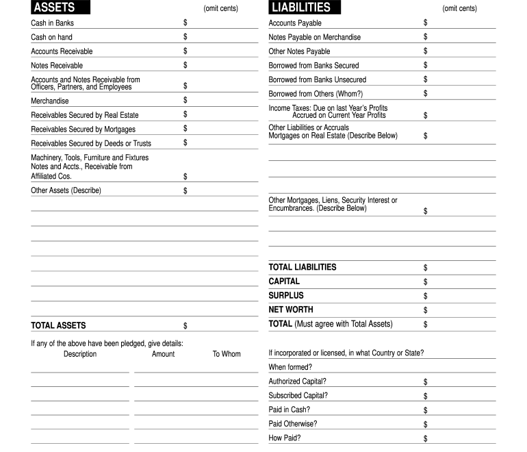 Financial Statement Template Fill Online Printable Fillable Blank PdfFiller