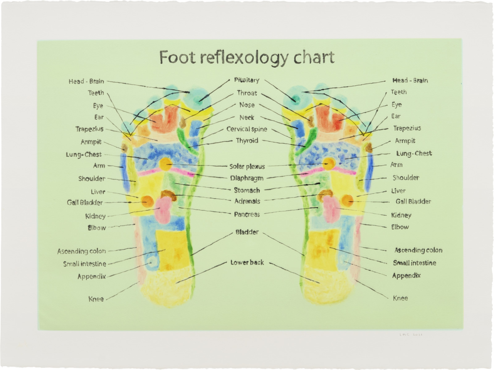 Free Foot Reflexology Chart Printable