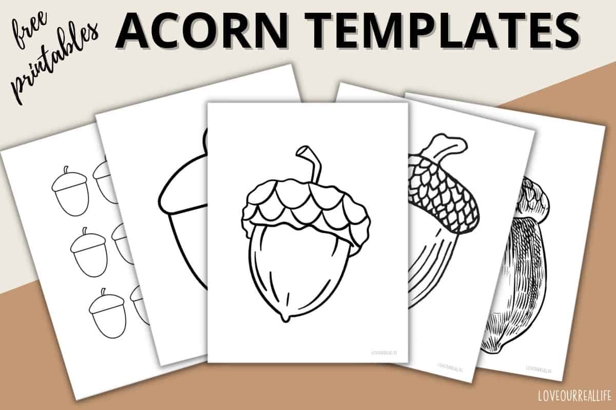 Free Printable Pictures Of Acorns