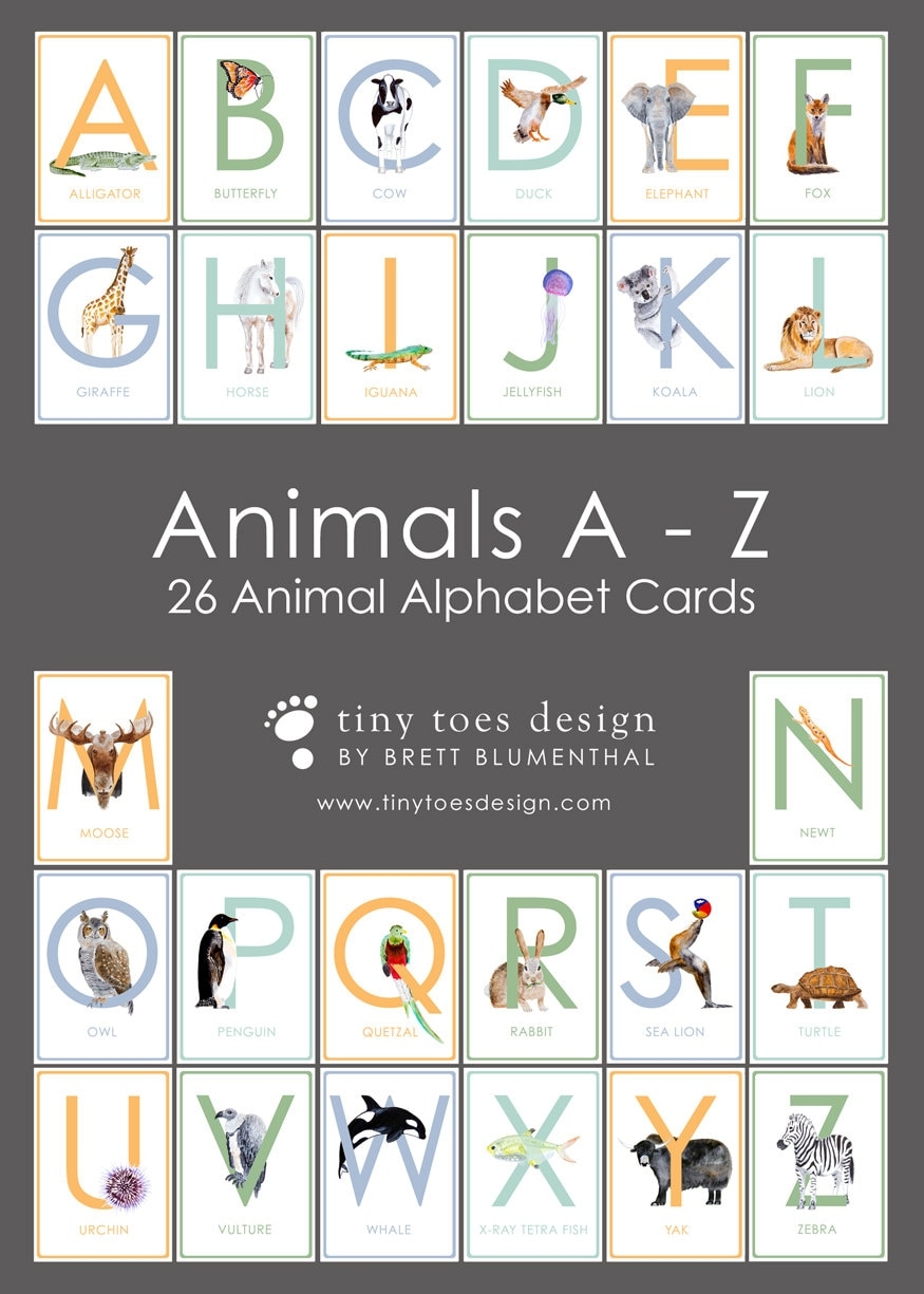 Printable Alphabet Letters Animal Alphabet Printable Flash Cards Nursery Art Alphabet Wall Cards ABC Nursery PDF Download 5x7 Etsy