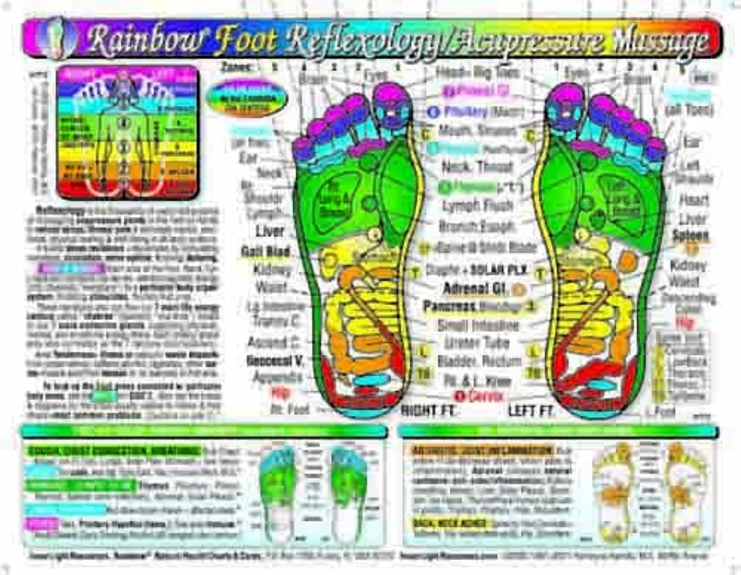 Rainbow FOOT Reflexology Acupressure Massage CHART In The Inner Light Resources Rainbow Cards Charts Series 8 5 X 11 In 2 sided Small Poster Large Card Yshkeyna Hamilla MA Jan Zupcsics MA Yshheyna