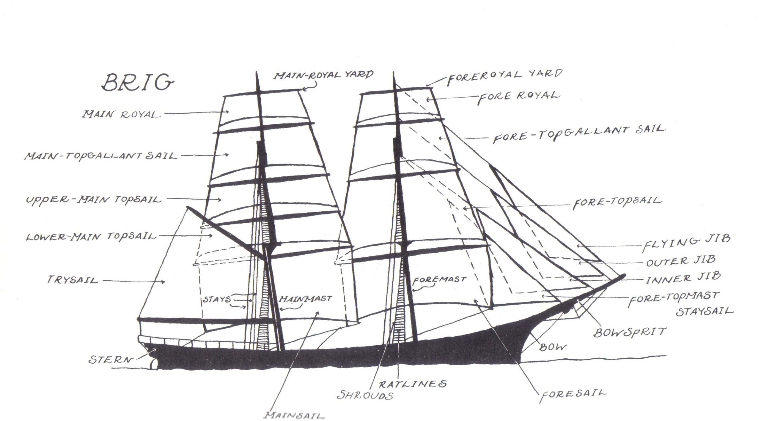 Sailing The Net With Charlotte Doyle Home Page