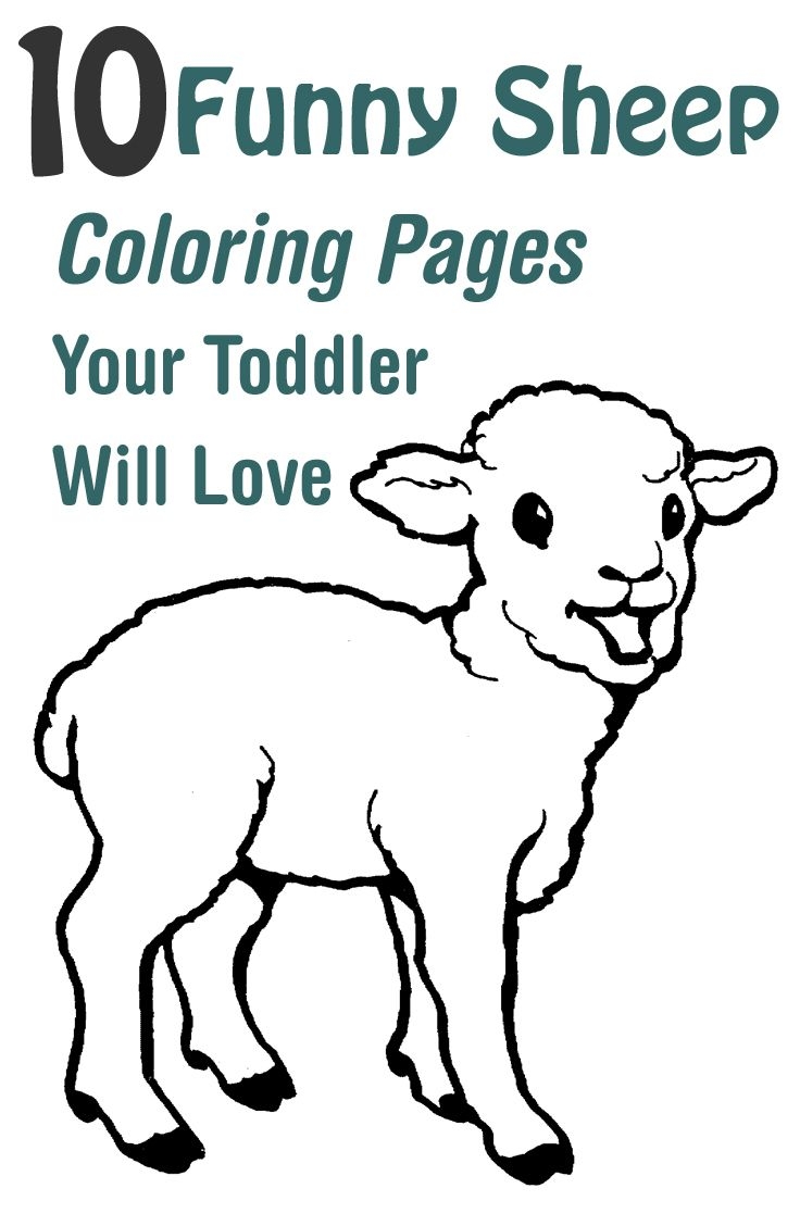 Free Sheep Printable Coloring Pages