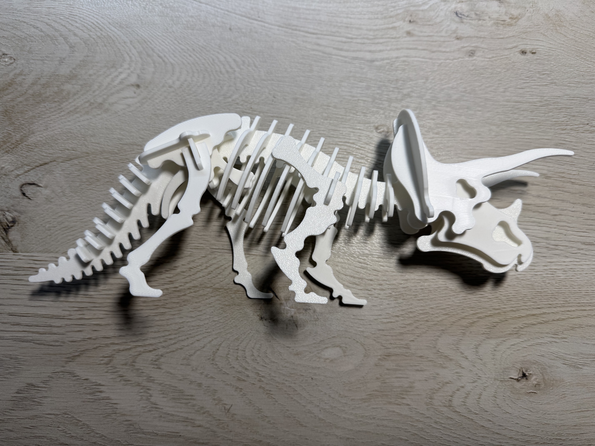 Triceratops Skeleton Puzzle Printable Free